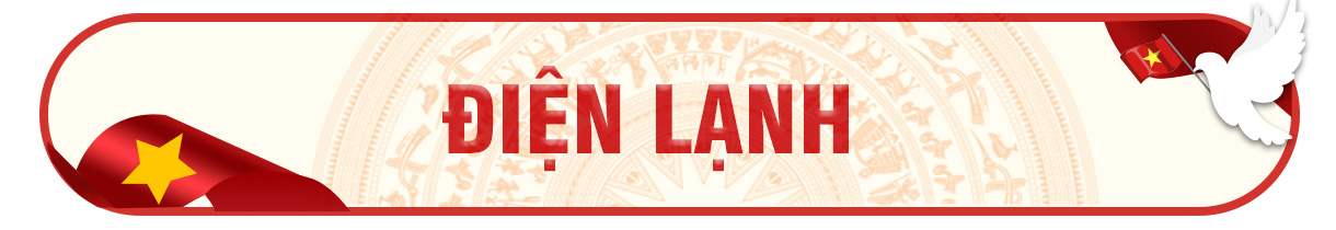 flasale 2 9 dien may 365 din lanh