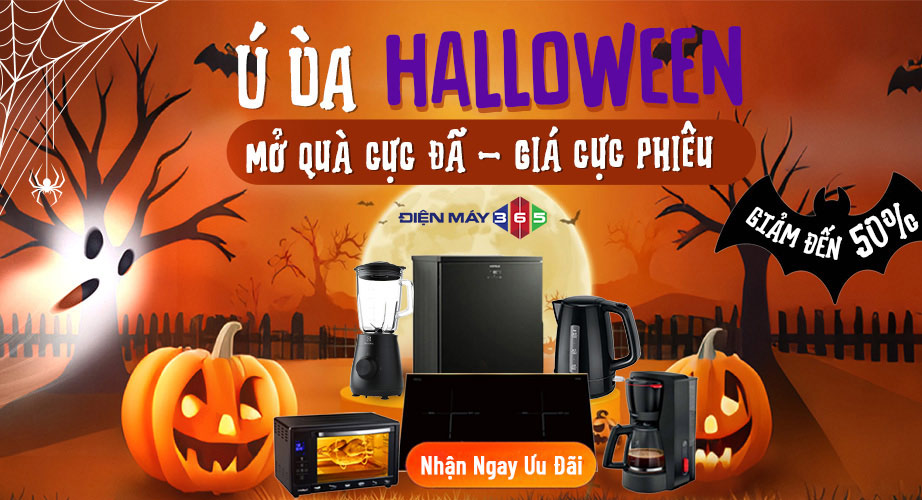 Trang chủ 18 ngoai 1